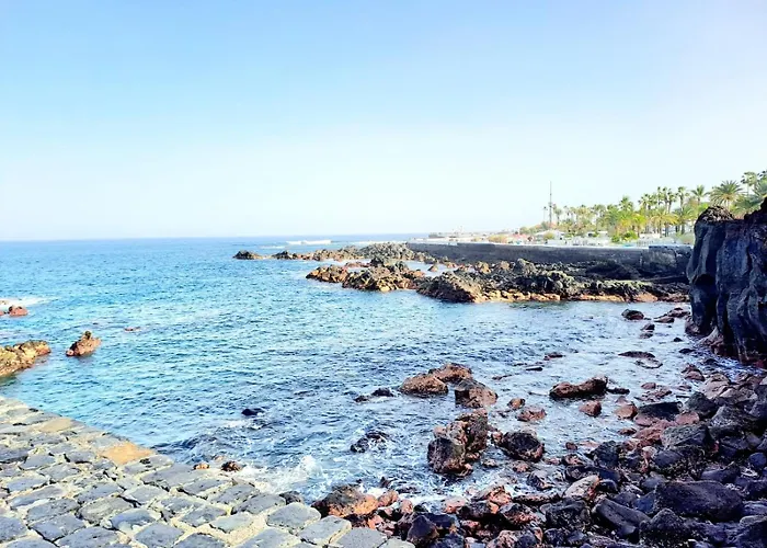 Estudio Playa Jardin